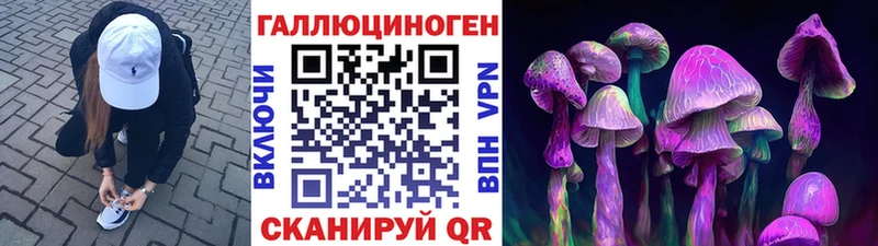 мега ссылка  Чита  Псилоцибиновые грибы GOLDEN TEACHER  цены  
