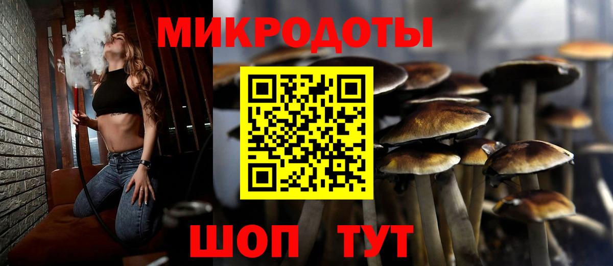 Галлюциногенные грибы мицелий Чита